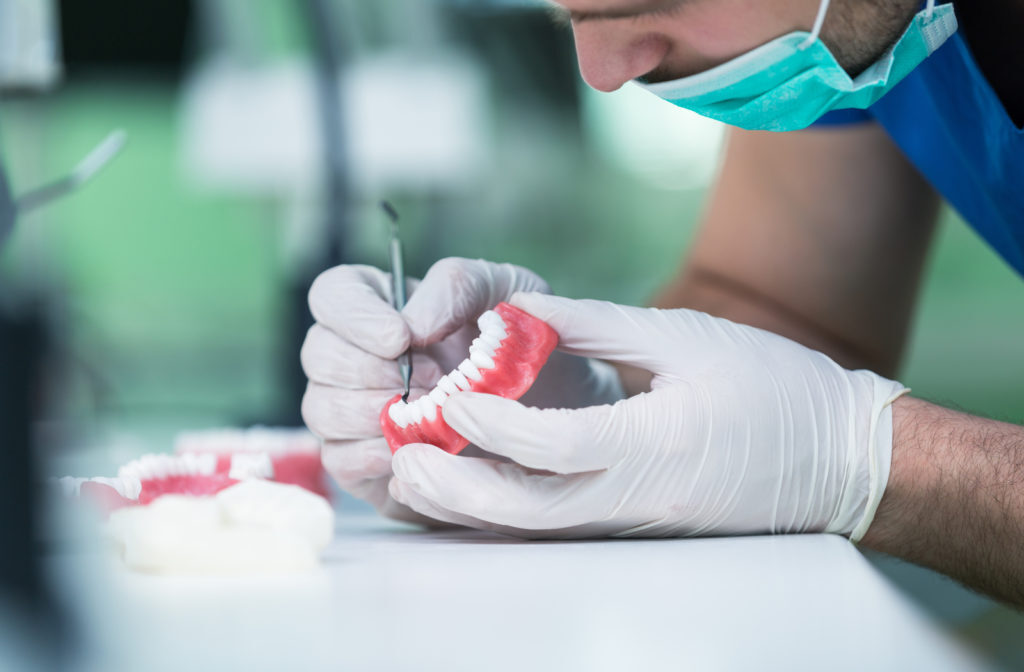 Dentist examining a set of dentures.